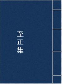 至正集